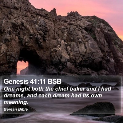 Genesis 41:11 BSB Bible Verse Image