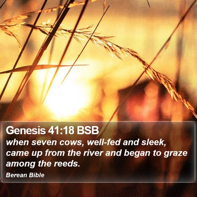 Genesis 41:18 BSB Bible Verse Image