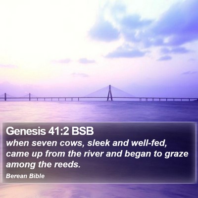 Genesis 41:2 BSB Bible Verse Image