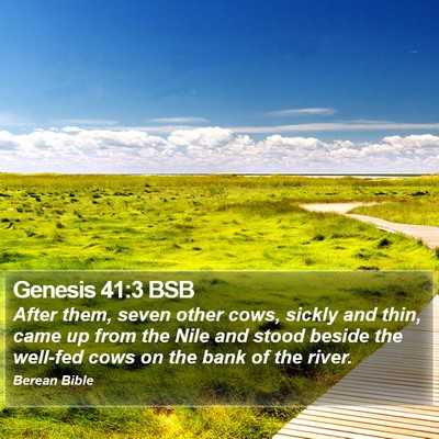 Genesis 41:3 BSB Bible Verse Image