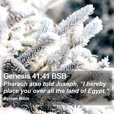 Genesis 41:41 BSB Bible Verse Image