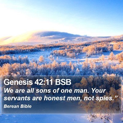 Genesis 42:11 BSB Bible Verse Image