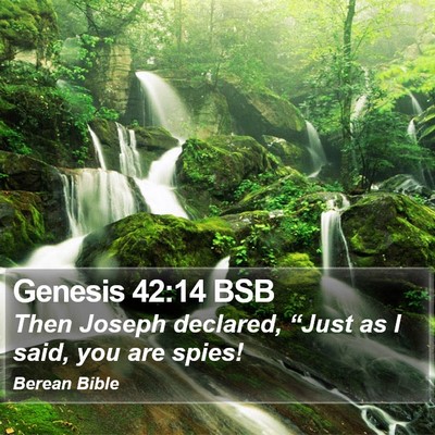 Genesis 42:14 BSB Bible Verse Image