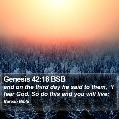 Genesis 42:18 BSB Bible Verse Image