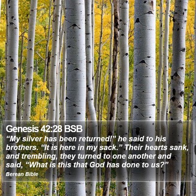 Genesis 42:28 BSB Bible Verse Image