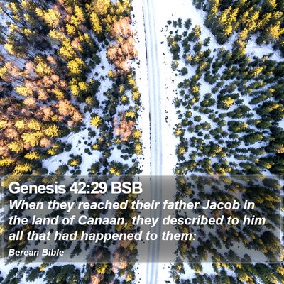Genesis 42:29 BSB Bible Verse Image