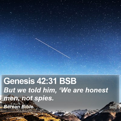 Genesis 42:31 BSB Bible Verse Image
