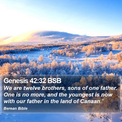 Genesis 42:32 BSB Bible Verse Image