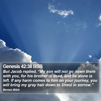 Genesis 42:38 BSB Bible Verse Image