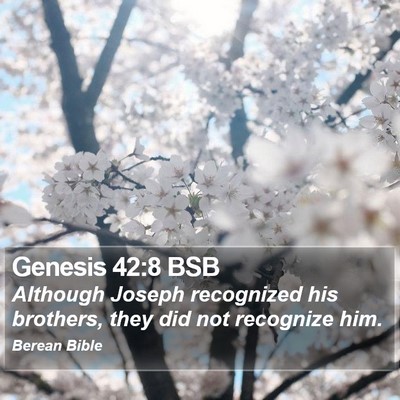 Genesis 42:8 BSB Bible Verse Image