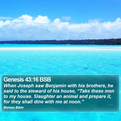 Genesis 43:16 BSB Bible Verse Image