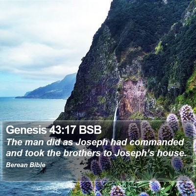Genesis 43:17 BSB Bible Verse Image