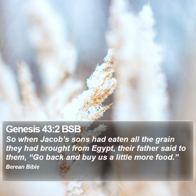 Genesis 43:2 BSB Bible Verse Image
