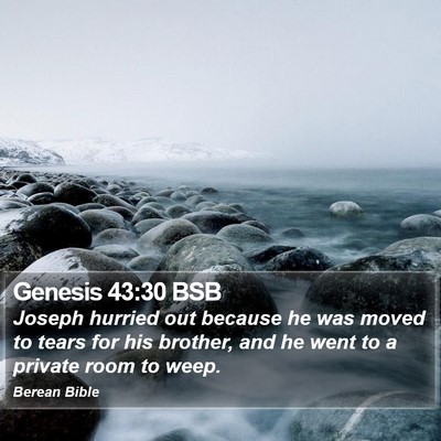 Genesis 43:30 BSB Bible Verse Image