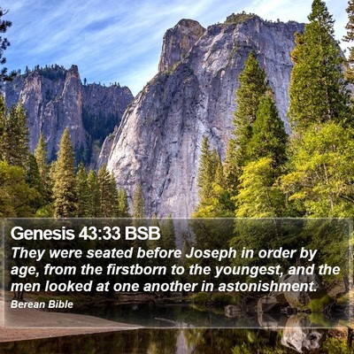 Genesis 43:33 BSB Bible Verse Image
