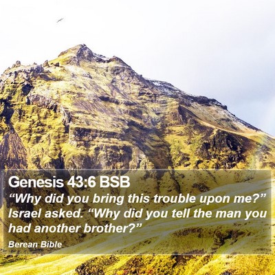 Genesis 43:6 BSB Bible Verse Image