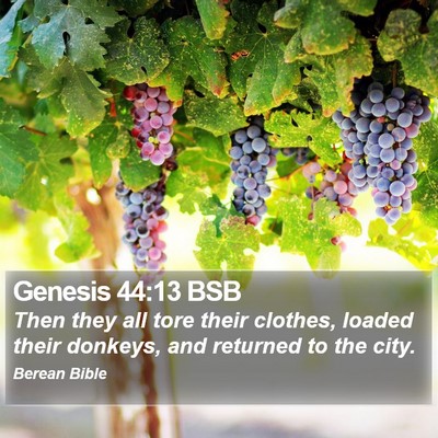 Genesis 44:13 BSB Bible Verse Image