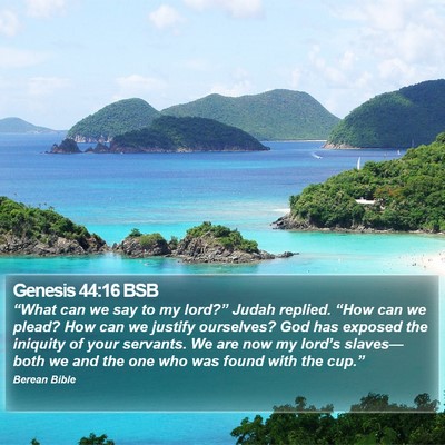 Genesis 44:16 BSB Bible Verse Image
