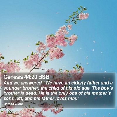 Genesis 44:20 BSB Bible Verse Image