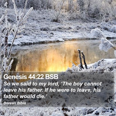 Genesis 44:22 BSB Bible Verse Image