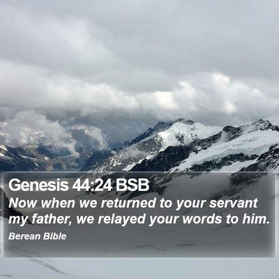 Genesis 44:24 BSB Bible Verse Image
