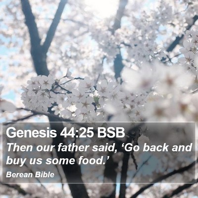 Genesis 44:25 BSB Bible Verse Image