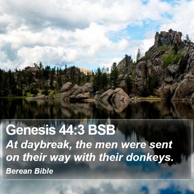 Genesis 44:3 BSB Bible Verse Image