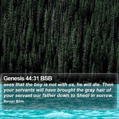 Genesis 44:31 BSB Bible Verse Image