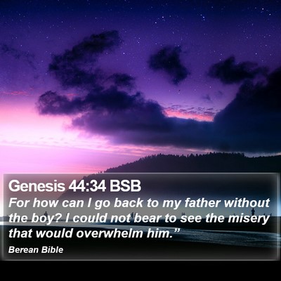Genesis 44:34 BSB Bible Verse Image