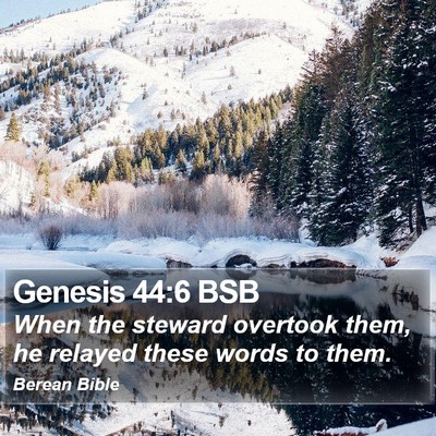Genesis 44:6 BSB Bible Verse Image
