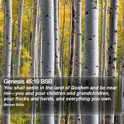 Genesis 45:10 BSB Bible Verse Image