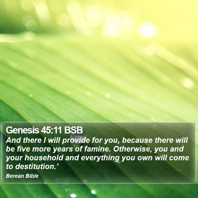 Genesis 45:11 BSB Bible Verse Image