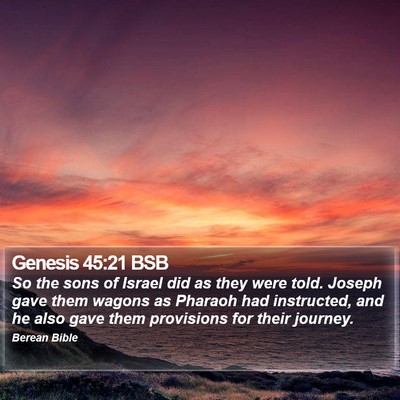 Genesis 45:21 BSB Bible Verse Image