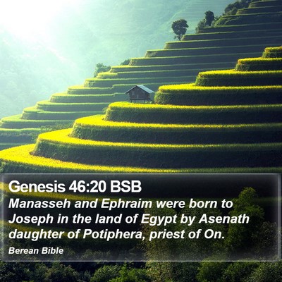 Genesis 46:20 BSB Bible Verse Image