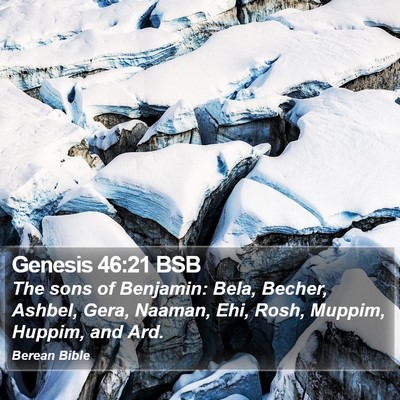 Genesis 46:21 BSB Bible Verse Image