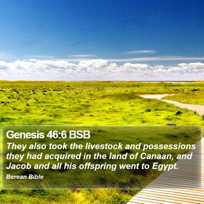 Genesis 46:6 BSB Bible Verse Image