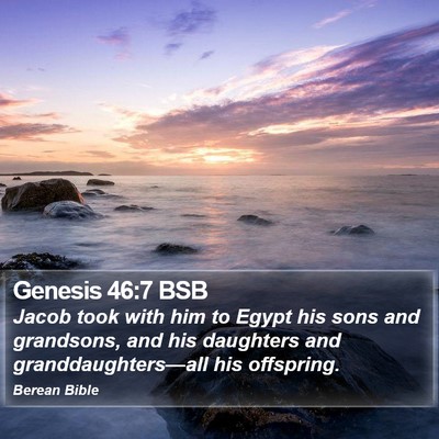 Genesis 46:7 BSB Bible Verse Image