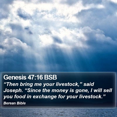 Genesis 47:16 BSB Bible Verse Image