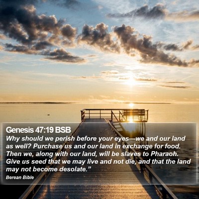 Genesis 47:19 BSB Bible Verse Image