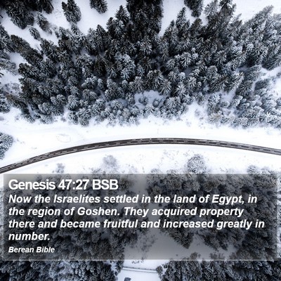 Genesis 47:27 BSB Bible Verse Image