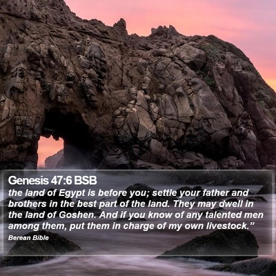 Genesis 47:6 BSB Bible Verse Image