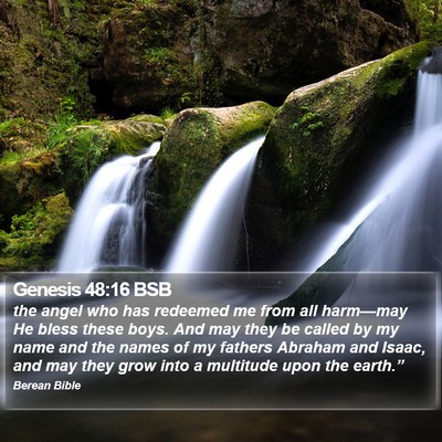 Genesis 48:16 BSB Bible Verse Image