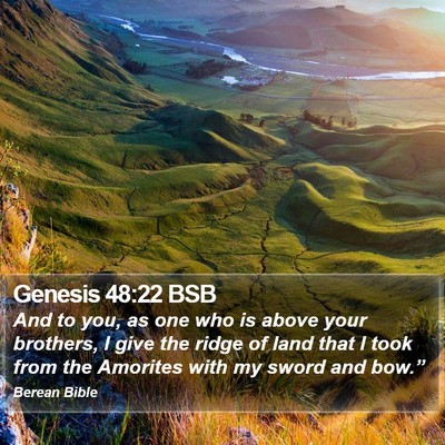 Genesis 48:22 BSB Bible Verse Image
