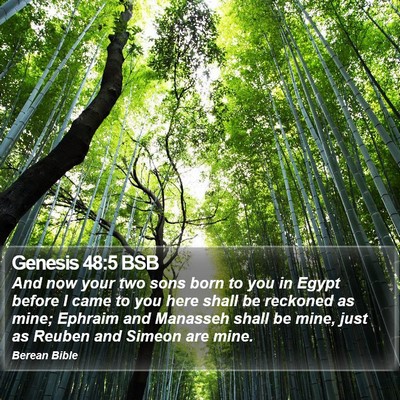 Genesis 48:5 BSB Bible Verse Image