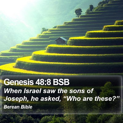 Genesis 48:8 BSB Bible Verse Image