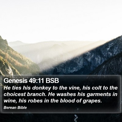 Genesis 49:11 BSB Bible Verse Image