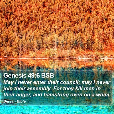 Genesis 49:6 BSB Bible Verse Image