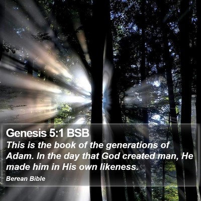 Genesis 5:1 BSB Bible Verse Image