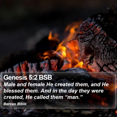 Genesis 5:2 BSB Bible Verse Image