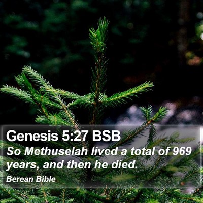 Genesis 5:27 BSB Bible Verse Image